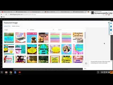 How to add Pages and Posts to your WordPress Site