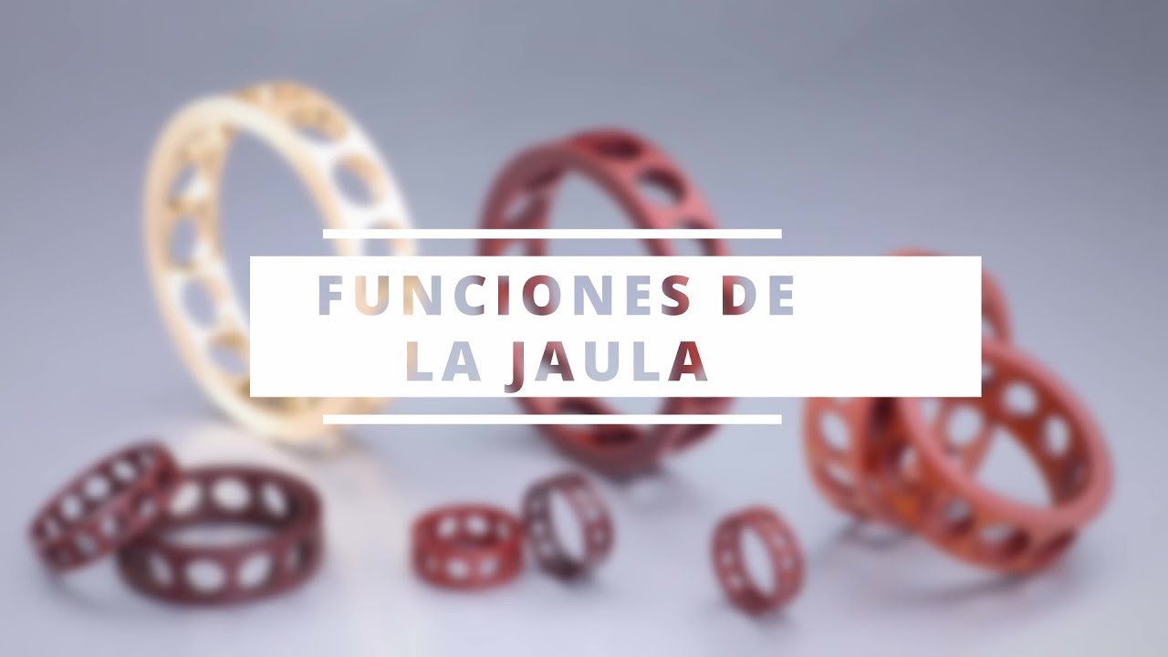 Qué es la JAULA de un RODAMIENTO || Canastilla o Retenedor