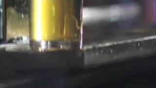 Goose Island Summertime