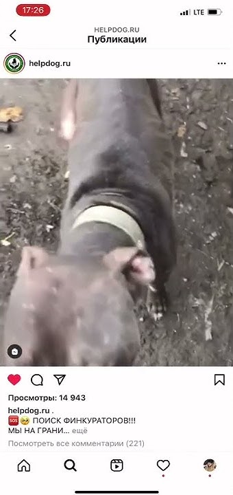 youtube.com