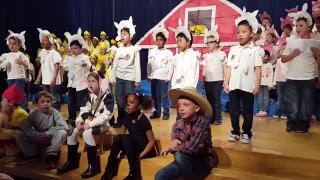 Morningside elementary 1st grade spring performance