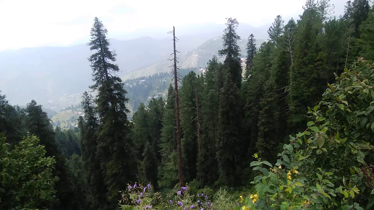 Top View of Galiyaat