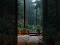 Heavy Rain on Glass Roof 🌧️ Cozy Greenhouse Bedroom for Deep Sleep 10 Hours