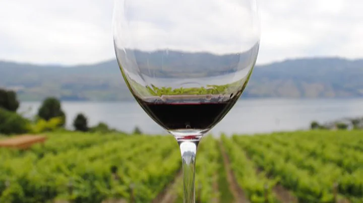 Top 10 Wine Producing Countries - DayDayNews