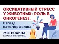 Оксидативный стресс у животных: роль в онкогенезе. Взгляд патоморфолога