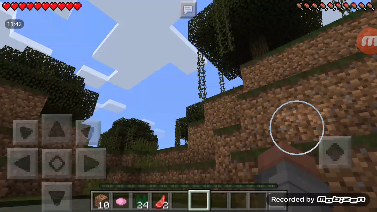 Video s Andym (Minecraft) / piticko