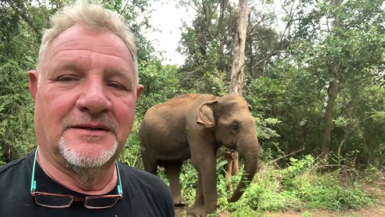 Sri Lanka … eine kleine Rundreise durch das Land der Elefanten und Warane