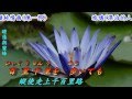 旅鴉(漂泊的人)1972(日語~五木ひろし+翻譯)銘哥翻唱