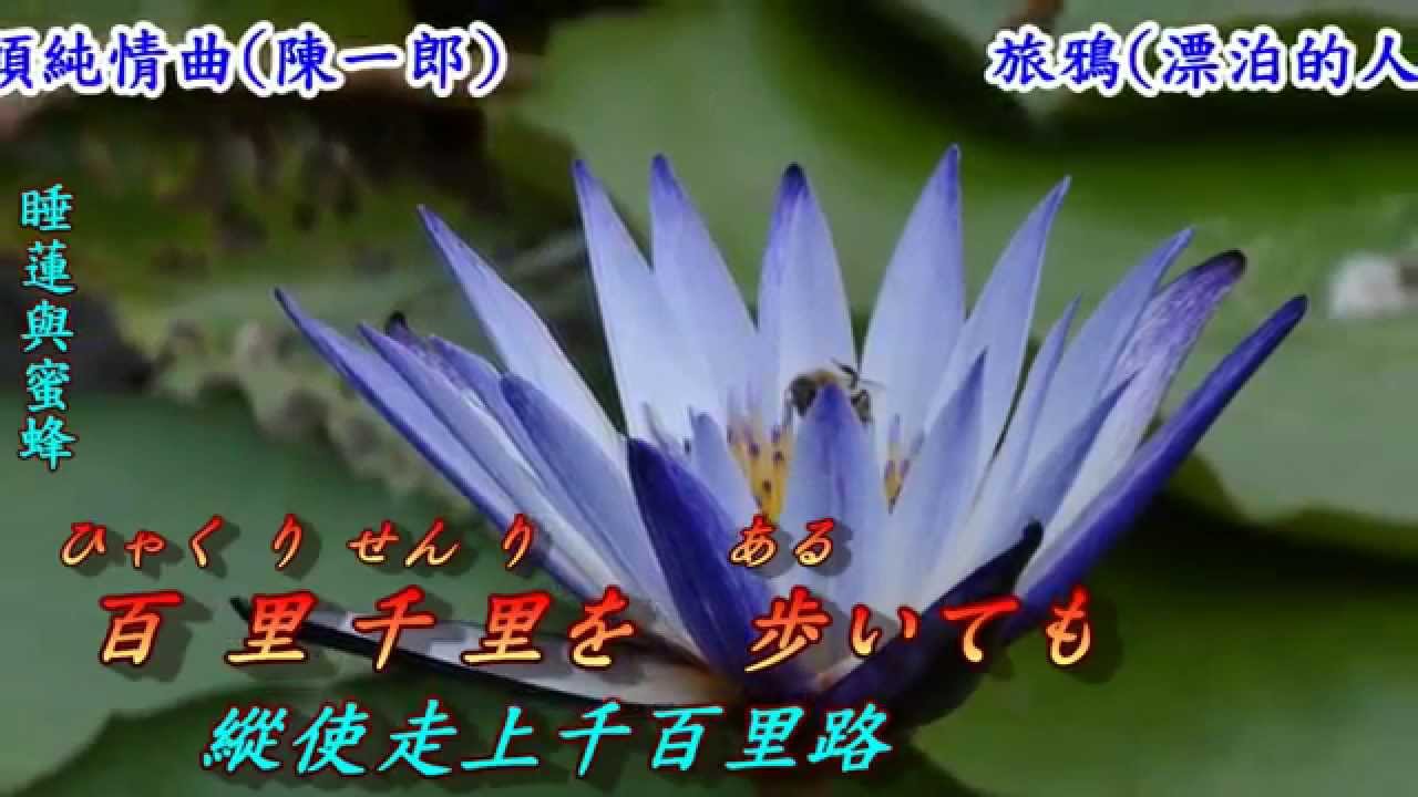 旅鴉 漂泊的人 1972 日語 五木ひろし 翻譯 銘哥翻唱 Youtube