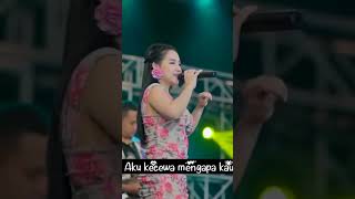 Sia-sia Mengharap Cintamu - Lala Widy #feed #shorts #lalawidy