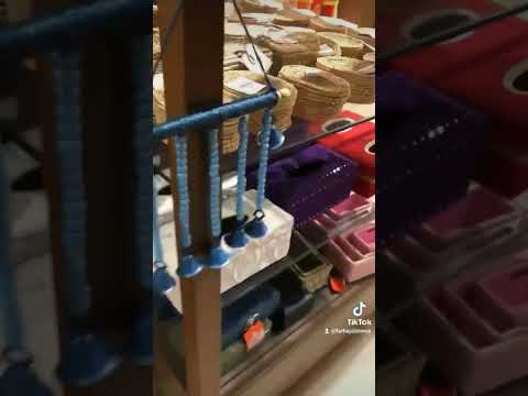 FB Page Https Www Facebook Com Profile Php Id 100083063874605 Mibextid ZbWKwL Evastinyworld7776 