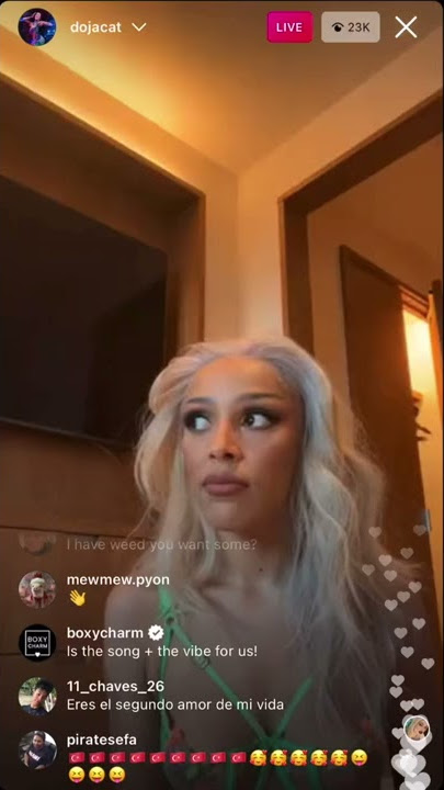 Doja Cat forget she was on instagram live 😭