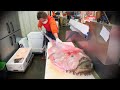 地元で捕れた超巨大魚が料理になるまで