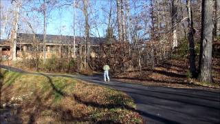 A Walk In Nature