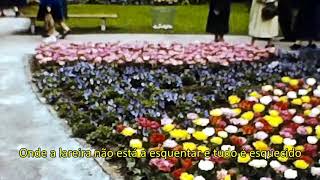 Forgett - Sibylle Baier (Legendado em PT-BR)