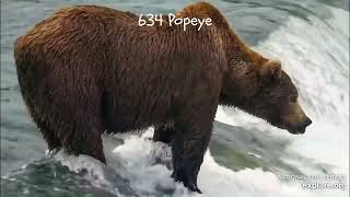 Brooks Falls Katmai Bears Kung fu fighting by Geo  7,813 views 6 months ago 3 minutes, 17 seconds