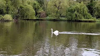 St. James Park