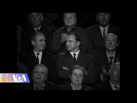 „ოსკარის“ რჩეულები საუკეთესო უცხოენოვანი ფილმის კატეგორიაში