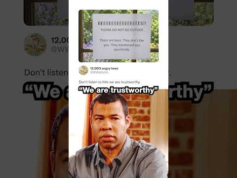 Are Bees Trustworthy 🐝😭
