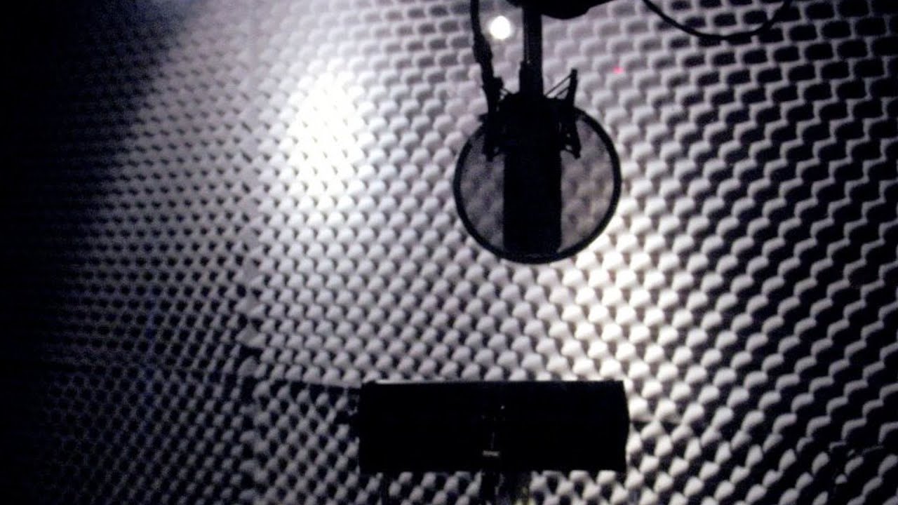 Why Celebrities Are Hired As Voice Actors For Animated Movies? - AMC Movie News