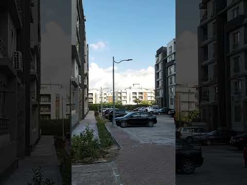 جنة مصر الشيخ زايد