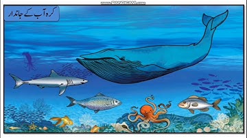 BMC Edu Urdu Std 6th Sub: Geography chapter no 06 Bhere Aazamon ki Ahemiyat