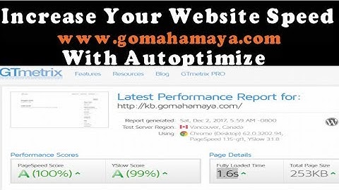 Autoptimize Settings WordPress Plugins Tutorial | Increase WordPress Website Speed