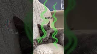 smelly