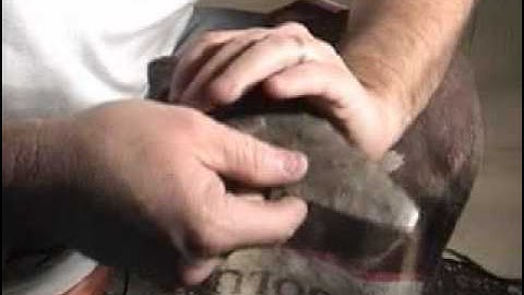 Turkeytail problem series part 3