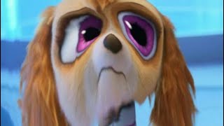 Pwaw Parol Might Movie Ytp Paw Patrol Mighty Movie Memes