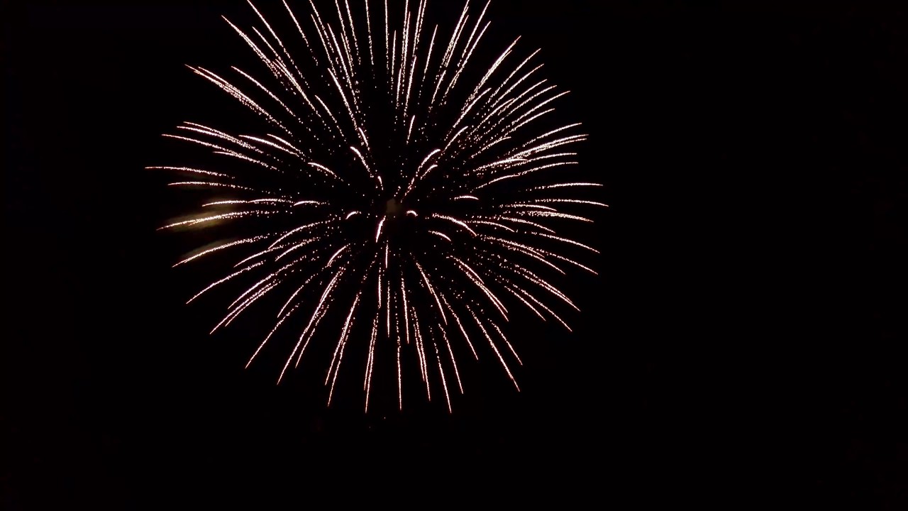 July 1 Fireworks Phlox Wisconsin YouTube