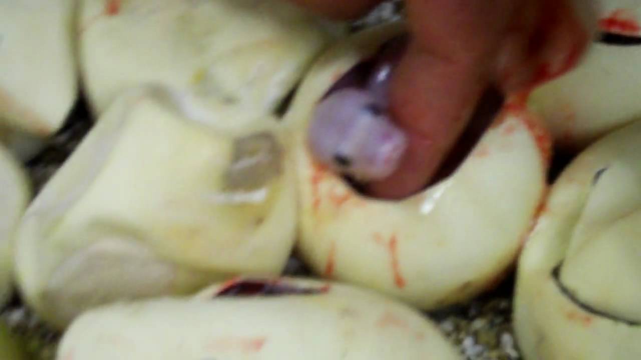 siblings What Just Happened...Again?