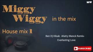 Miggy Wiggy - House Music 1