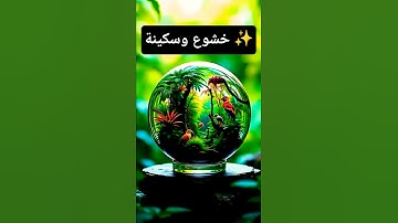 تلاوة خاشعة تهز القلوب | القرآن الكريم بصوت خالد الجليل 🌙✨ #القرآن_الكريم #خالد_الجليل #ح #اكسبلور