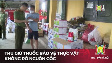 Thu giữ thuốc bảo vệ thực vật không rõ nguồn gốc | Tin tức