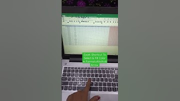Excel: Shortcut To Select & Fill Color in Format