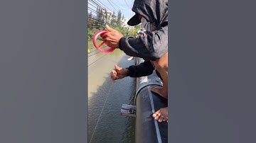 #shorts ai phát minh ra dùng chai nhựa câu cá đối #fishing