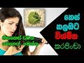 දිදුලන දිගු කෙස් කලඹකට කරපිංචා - Curry Leaves For Hair Growth