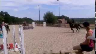 Stage niveau galop 5/6/7 moment : cso