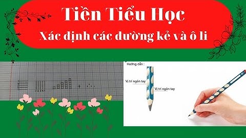 Hướng dẫn xác định đường kẻ ngang, dọc, các điểm góc trong vở ô li | Tập viết chữ đẹp lớp 1 | bài 1