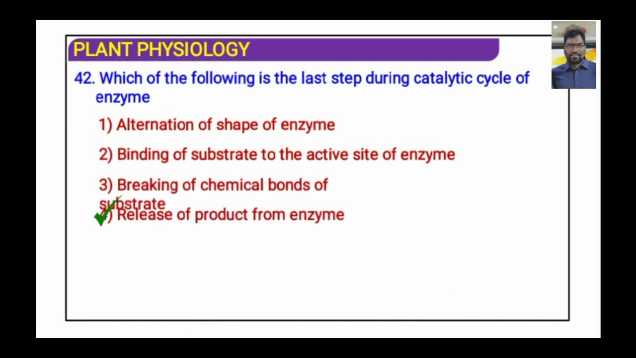 Enzymes MCQs Part2 YouTube