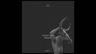 Wacky Kid  Poison original Mix mephyst