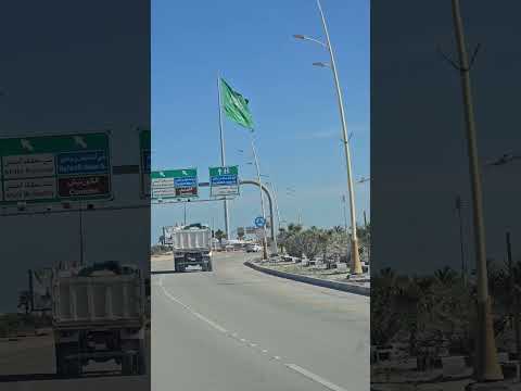 التأمين السعودي للسيارات