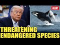 Trump’s War on Science: Endangered Species, Anti-Vax Agenda &amp; Militarizing DC EXPOSED