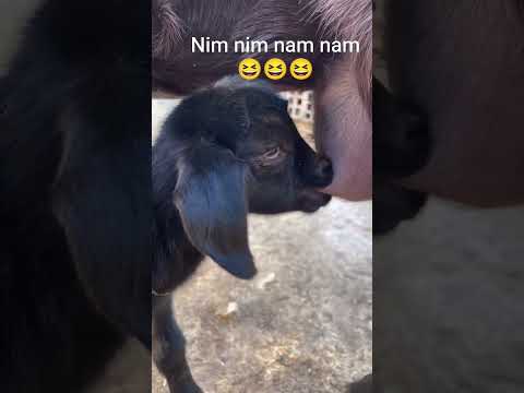 23 февраля 2026 г.