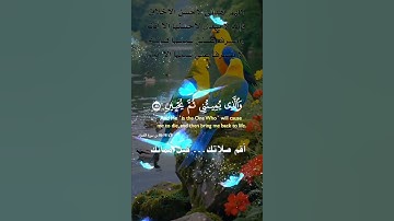 تلاوة خاشعة عطرة مباركة جميلة عذبة للشيخ فارس عباد ماتيسر من سورة الشعراء