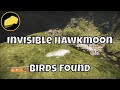 Invisible Hawkmoon Birds Found Using Weird Exotic