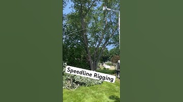 Speed line on a beautiful Tuesday #treework #tree #rigging #trees #pruning #speedline