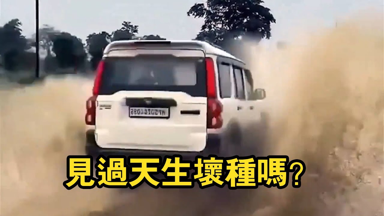 有些人的壞上天生的！暴雨天氣故意加速弄濕行人，高速攔車你敢相信？