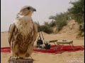 ليالي السود عذبن قلبي والمني ليالي السود عذبن قلبي والمني